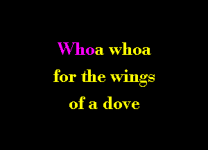 Whoa whoa

for the Wings

of a dove