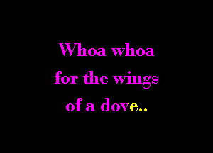 Whoa whoa

for the wings

of a dove..