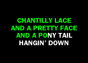 CHANTILLY LACE

AND A PRE'ITY FACE
AND A PONY TAIL

HANGIW DOWN

g