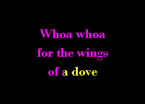 Whoa whoa

for the Wings

of a dove