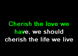 Cherish the love we

have, we should
cherish the life we live