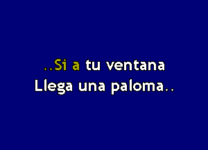 ..51' a tu ventana

Llega una paloma..