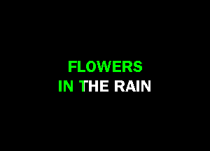 FLOWERS

IN THE RAIN