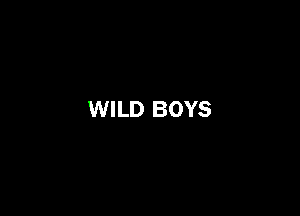 WILD BOYS