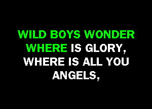 WILD BOYS WONDER
WHERE IS GLORY,

WHERE IS ALL YOU
ANGELS,
