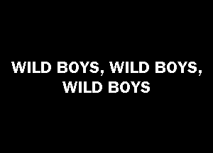 WILD BOYS, WILD BOYS,

WILD BOYS