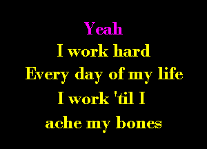 Yeah
I work hard

Every day of my life
I work 'iil I

ache my bones
