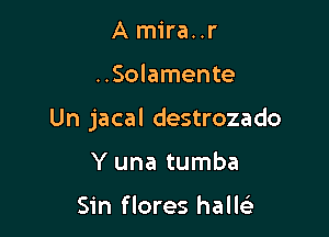 Amira..r

..Solamente

Un jacal destrozado

Y una tumba

Sin flores halE