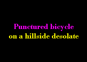 Punctured bicycle
011 a hillside desolate
