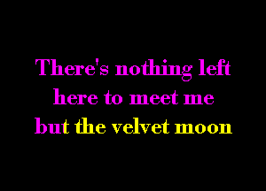 There's nothing left

here to meet me
but the velvet moon