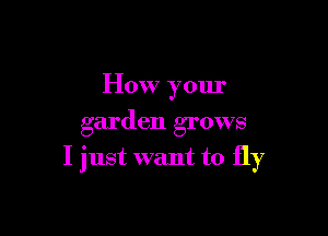 How your
garden grows

I just want to fly