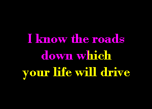 I know the roads
down which
your life will drive