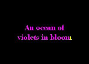 A11 ocean of

violets in bloom