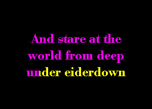 And stare at the
world from deep

under eiderdown

g