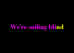 W e're sailing blind