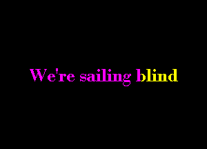 W e're sailing blind