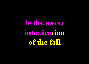 Is the sweet

intoxication

of the fall