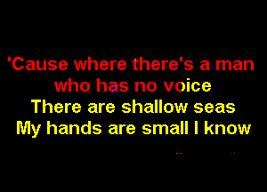 'Cause where there's a man
who has no voice
There are shallow seas
My hands are small I know