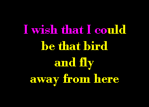 I wish that I could
be that bird
and fly

away from here

Q