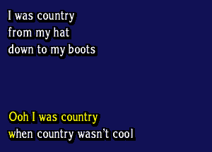 I was country
from my hat
down to my boots

Ooh I was country
when country wasn't cool