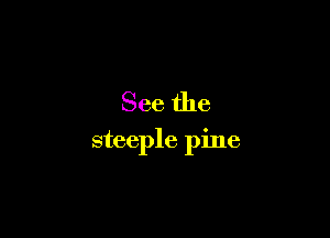 See the

steeple pine