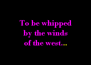 To be Whipped

by the Winds

of the west...