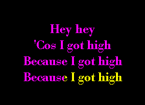 Hey hey
'Cos I got high

Because I got high
Because I got high