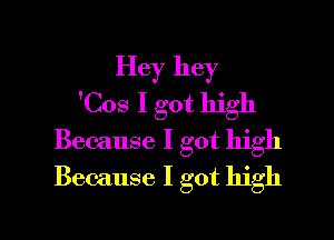 Hey hey
'Cos I got high

Because I got high
Because I got high