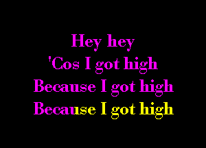 Hey hey
'Cos I got high

Because I got high
Because I got high