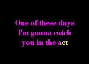 One of these days

I'm gonna catch

you in the act