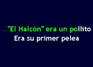 ..EI Halcdn era un pollito

Era su primer pelea