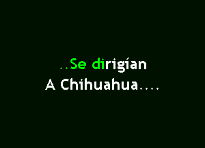 ..Se dirigian

A Chihuahua....