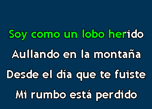 Soy como un lobo herido
Aullando en la montaria
Desde el dia que te fuiste

Mi rumbo estgl perdido