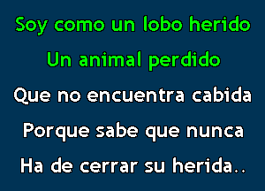 Soy como un lobo herido
Un animal perdido
Que no encuentra cabida
Porque sabe que nunca

Ha de cerrar su herida..