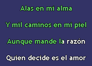 Alas en mi alma
Y mil caminos en mi piel
Aunque mande la razc'm

Quien decide es el amor