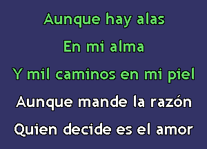 Aunque hay alas
En mi alma
Y mil caminos en mi piel
Aunque mande la razc'm

Quien decide es el amor