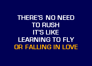 THERE'S NO NEED
TO RUSH
IT'S LIKE
LEARNING TO FLY
OR FALLING IN LOVE

g