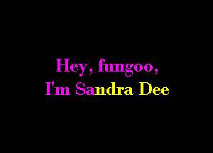 Hey, flmgoo,

I'm Sandra Dee