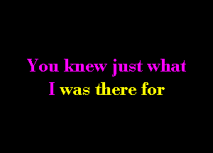 You knew just What

I was there for