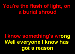 You're the flash of light, on
a burial shroud

I know something's wrong
Well everyone I know has
got a reason