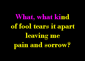 What, what ldnd

0f fool tears it apart
leaving me

pain and sorrow?

g