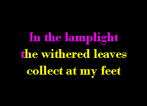 In the lamplight
the withered leaves
collect at my feet