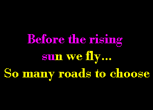 Before the rising
sun we fly...

So many roads to choose