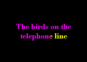 The birds on the

telephone line