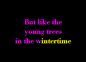 But like the
young trees
in the wintertime

g