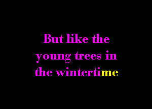 But like the

young trees in
the wintertime