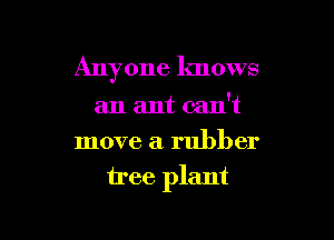 Anyone knows

an ant can't
move a rubber
tree plant