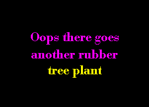Oops there goes

another rubber
tree plant