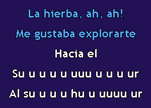 La hierba, ah, ah!
Me gustaba explorarte
Hacia el
Suuuuuuuuuuuur

Alsuuuuhuuuuuuur