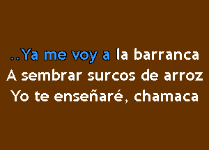 ..Ya me voy a la barranca
A sembrar surcos de arroz
Yo te enser'iare'z, chamaca